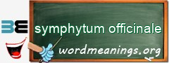 WordMeaning blackboard for symphytum officinale